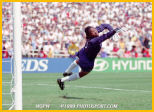 briana scurry
